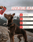 RYŌKEN INSTINCT -  Beef Treat & Snack Bar for Active Dogs - Energy & Recovery