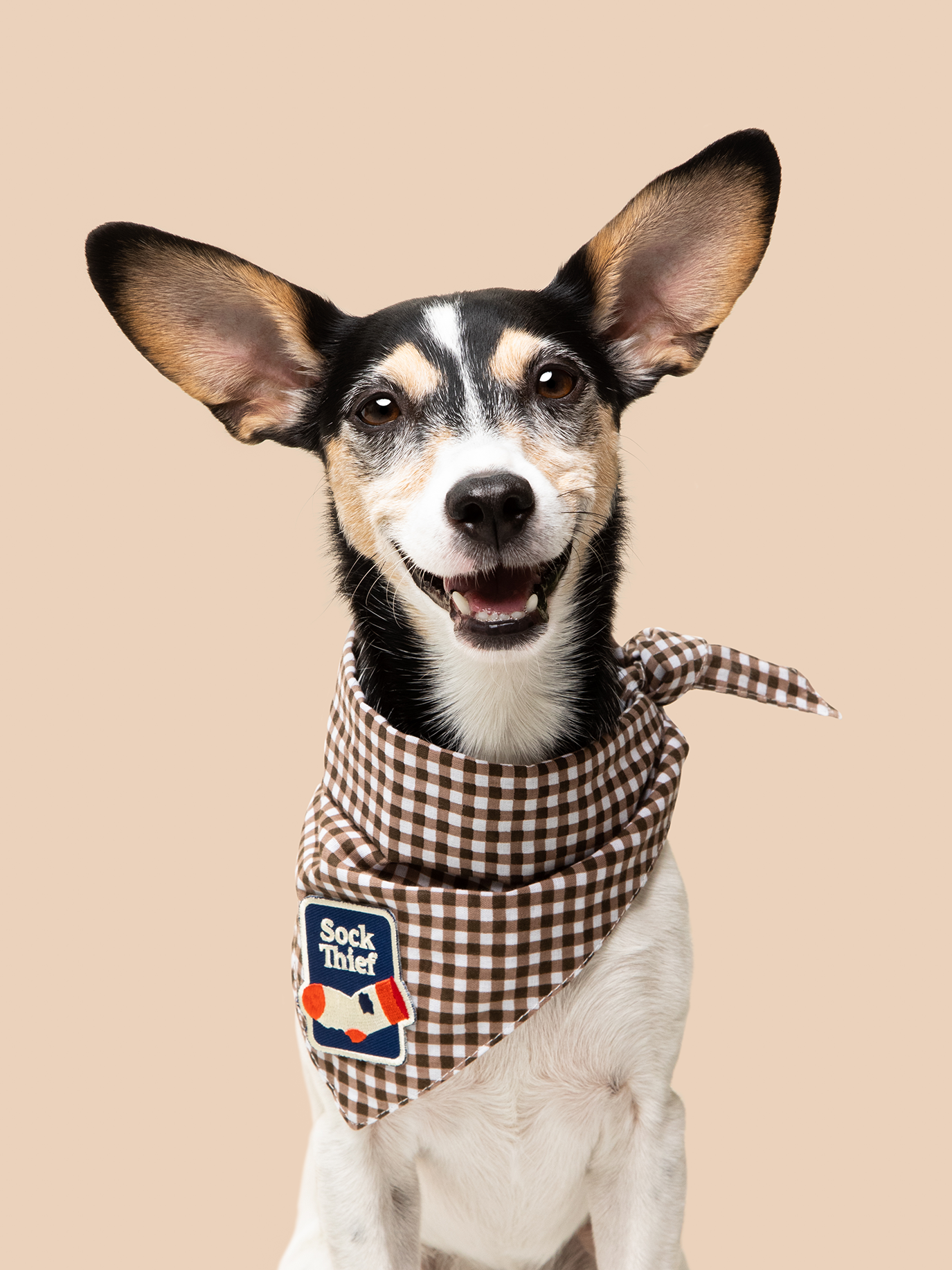 Scout&#39;s Honour - Sock Thief iron-on patch for dogs