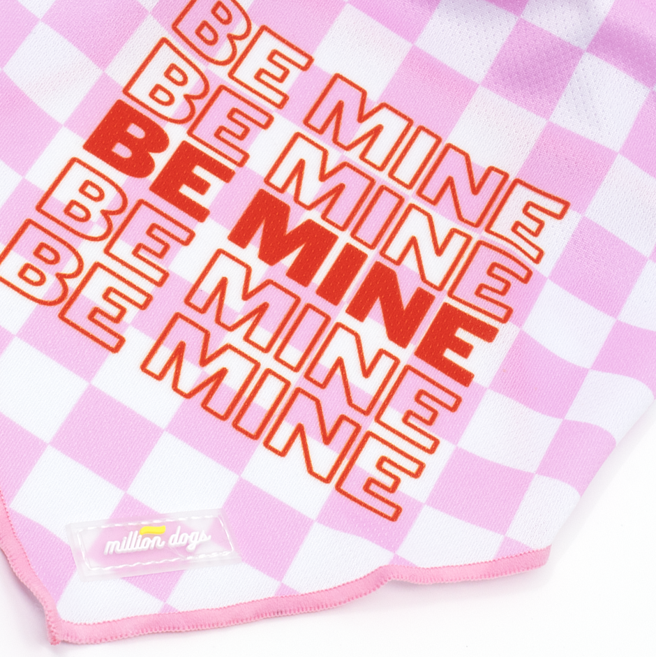 Million Dogs - Cooling Dog Bandana - Be Mine – The Modern Dog Company Store
