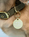 Freshwater Curated Goods™ - Not Fat, Just Fluffy Pet Tag
