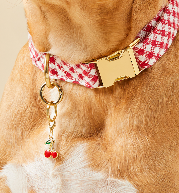 The Foggy Dog - Cherries Collar Charm