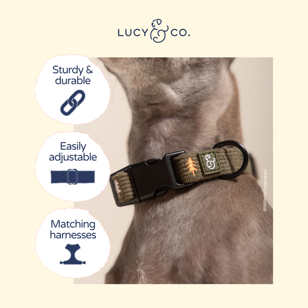 Lucy &amp; Co. - Take a Hike Corduroy Collar