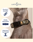 Lucy & Co. - Take a Hike Corduroy Collar