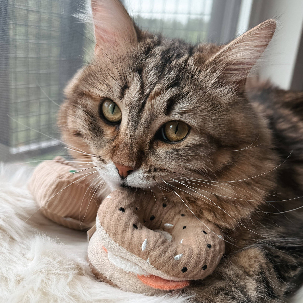 Lambwolf Collective - KITTY PIZZA &amp; BAGEL SET//cat toy: Default Title