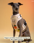 Lucy & Co. - Main Squeeze Crochet No-Pull Harness