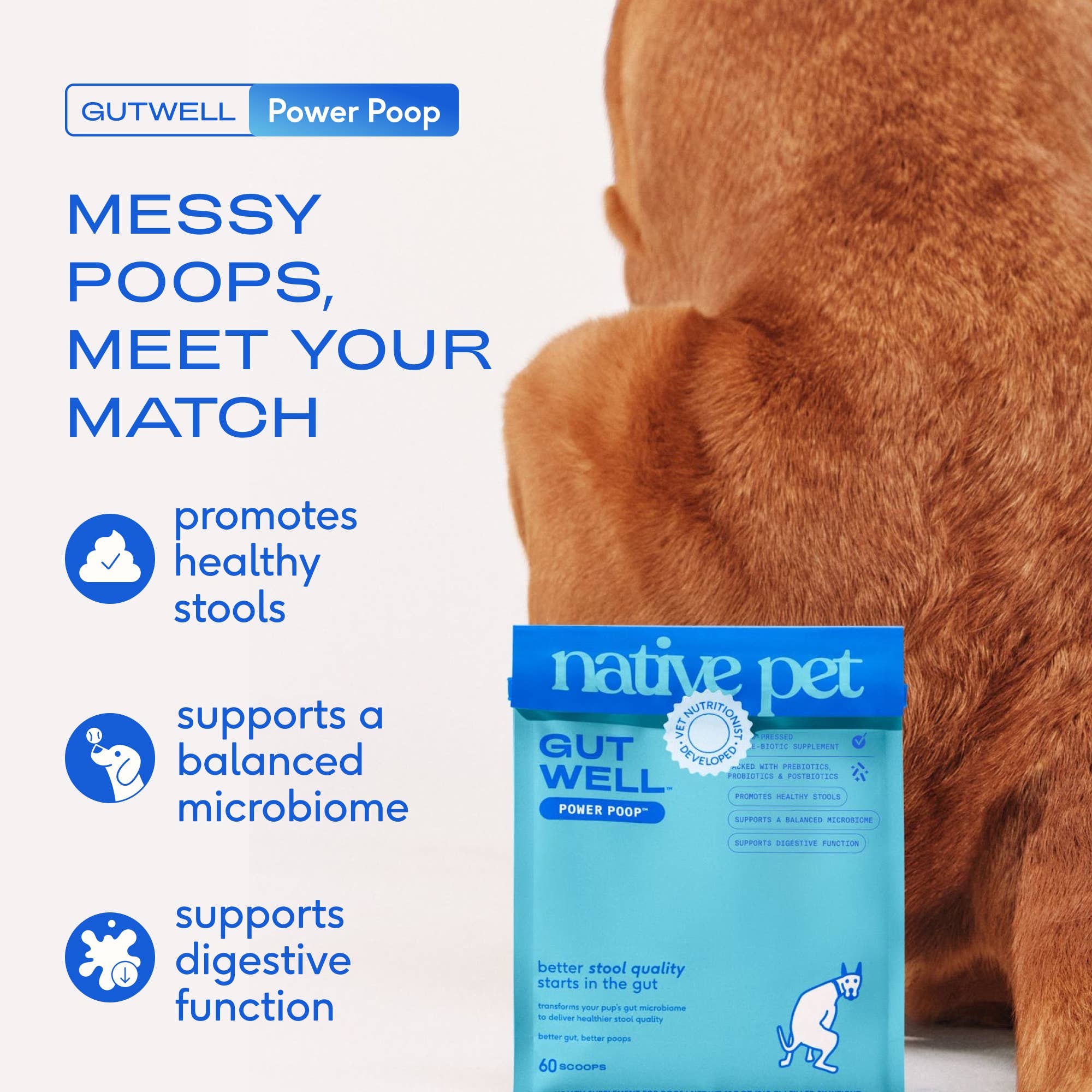 Native Pet - Native Pet GutWell Power Poop Digestion Support Supplement