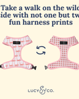 Lucy & Co. - Take a Bow Reversible Harness: L