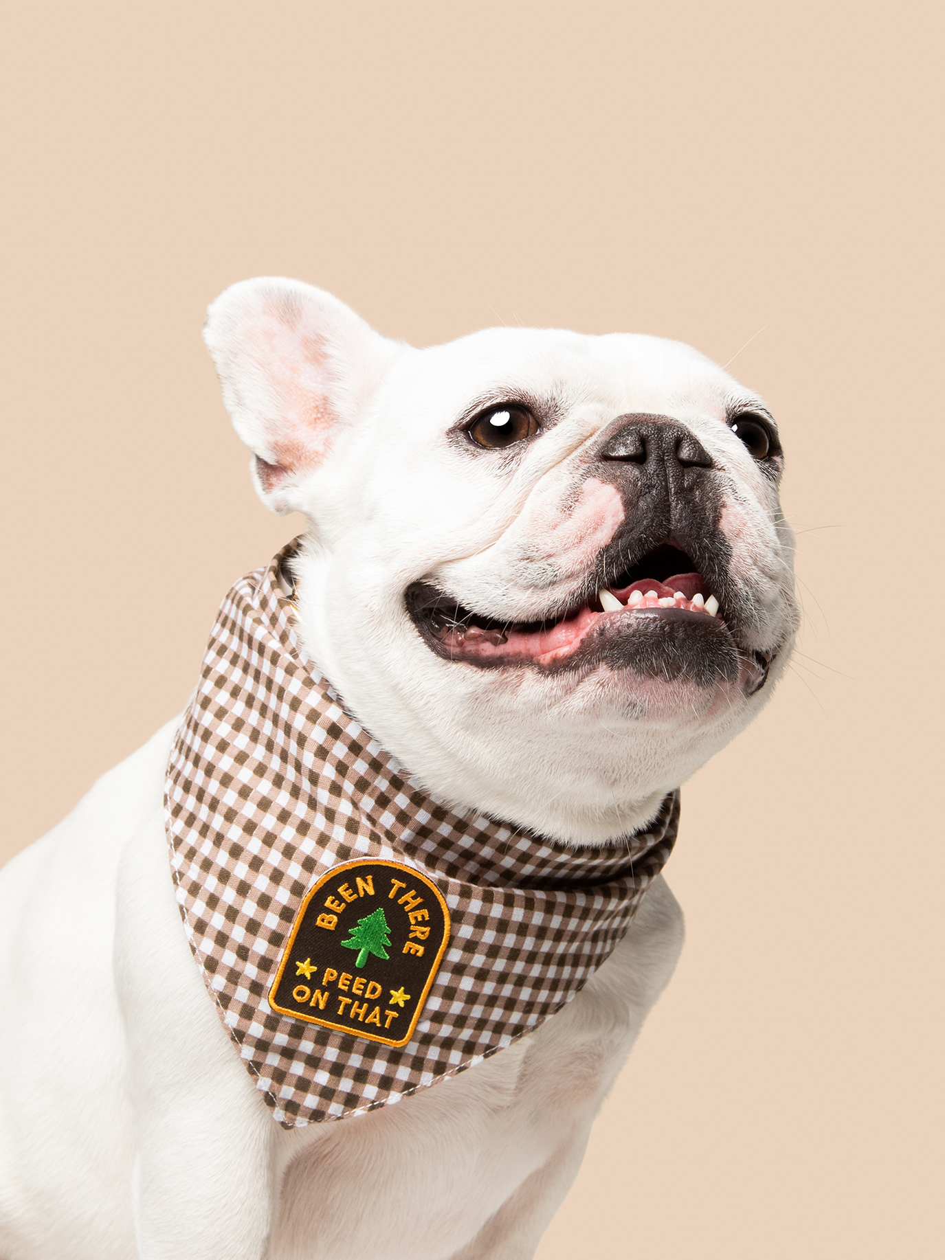 Scout's Honour Pty Ltd - Been There Peed on That iron-on patch for dogs and cats