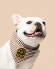 Scout's Honour Pty Ltd - Been There Peed on That iron-on patch for dogs and cats