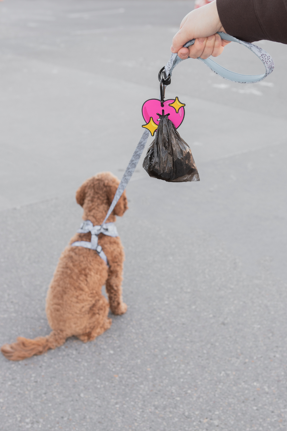 Woof &amp; Wonder - Sparkle Heart Poopy Loop® Used Dog Waste Bag Holder