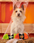 BARK Flutter & Fang Plush Dog Toy