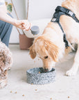 dexypaws - Salt & Pepper Ceramic Dog Bowl: 6.3 Inches