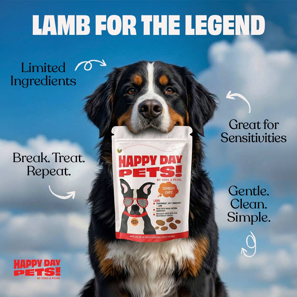 Happy Day Pets - Happy Day Pets Lamb Chips Dog Treats | 100% Lamb | 4 oz