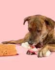 the furryfolks - Bone Appétit Nosework Toy