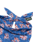 The Paws - Firecrackers 4th of July Dog Bandana