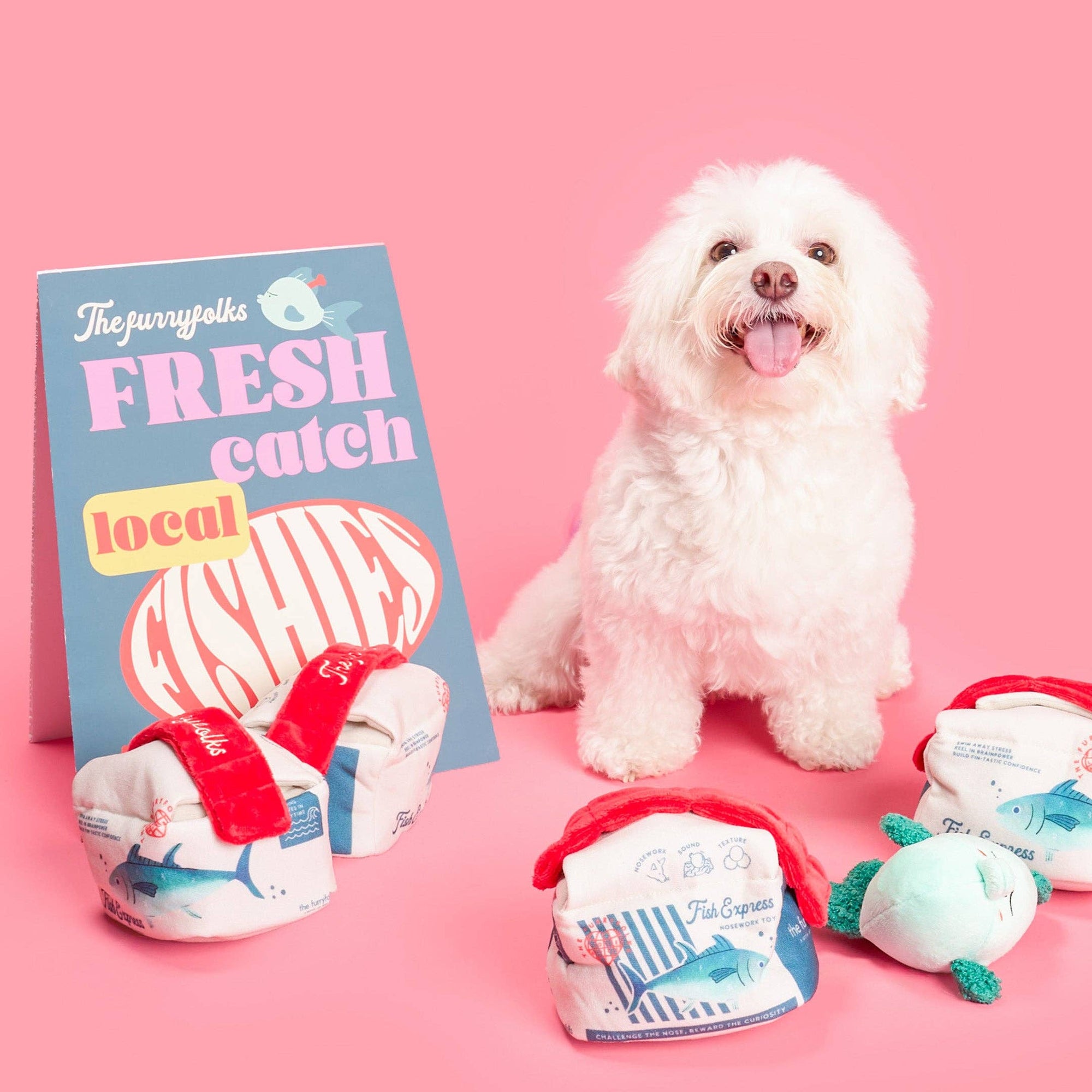 the furryfolks - Fish Express Nosework Toy