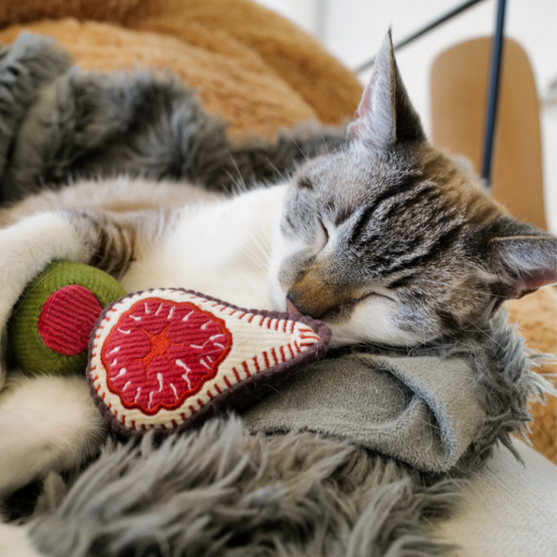 Lambwolf Collective - KITTY OLIVE + FIG