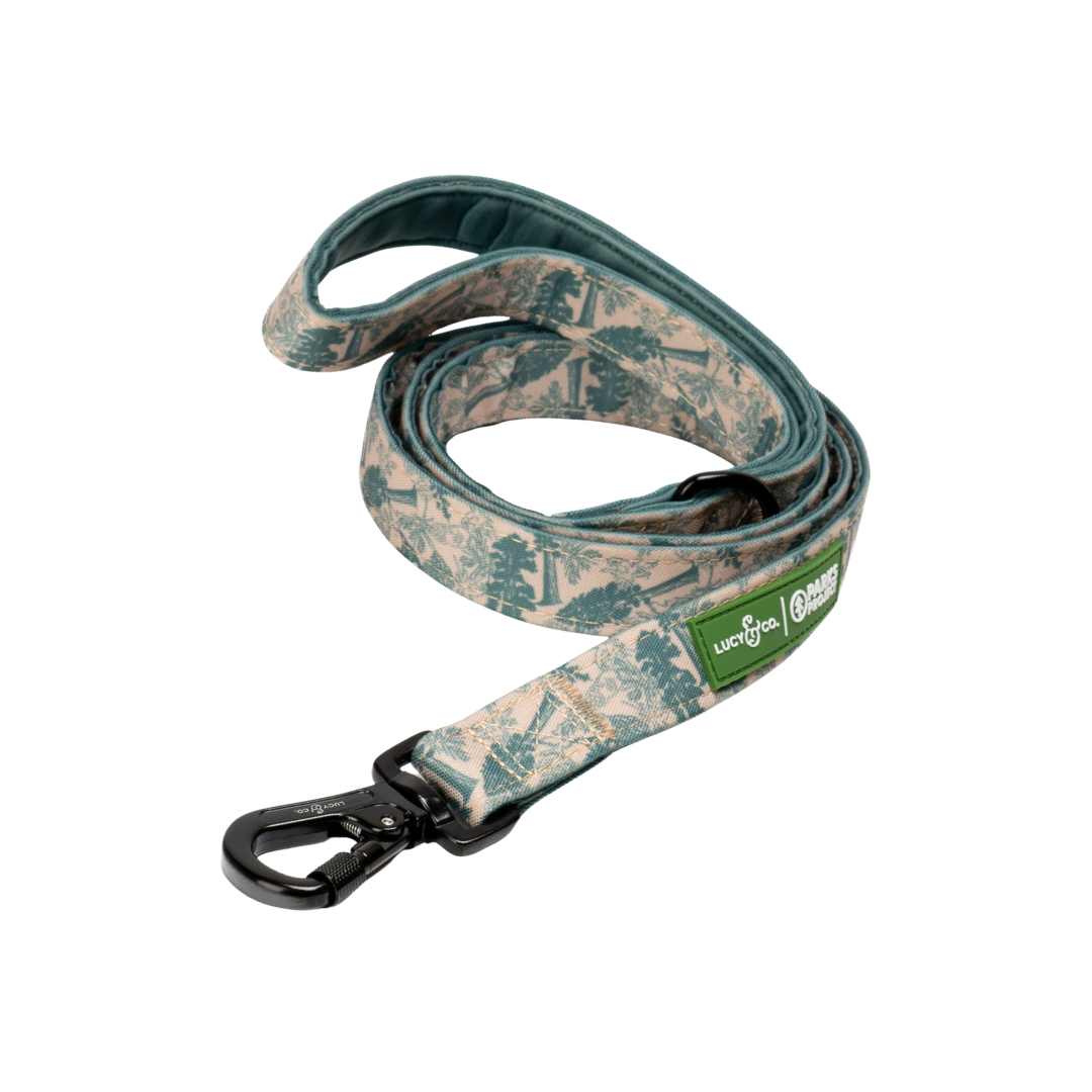 Lucy &amp; Co. - Lucy &amp; Co. x Parks Project Sequoia Seedlings Leash