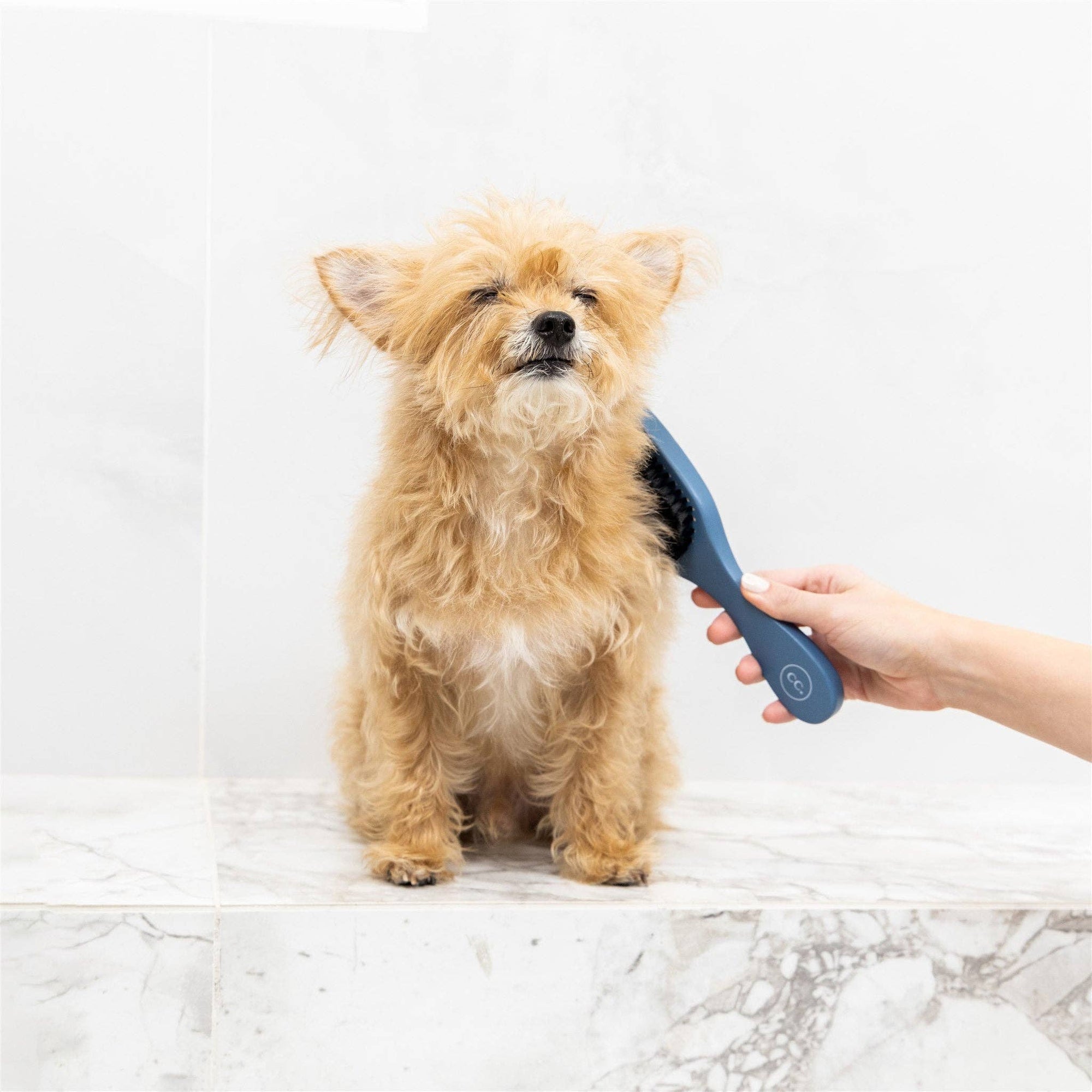 Clean Coats - Dog Brush Smooth &amp; Shine | Gentle Brush for Cats &amp; Dogs