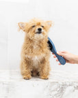 Clean Coats - Dog Brush Smooth & Shine | Gentle Brush for Cats & Dogs