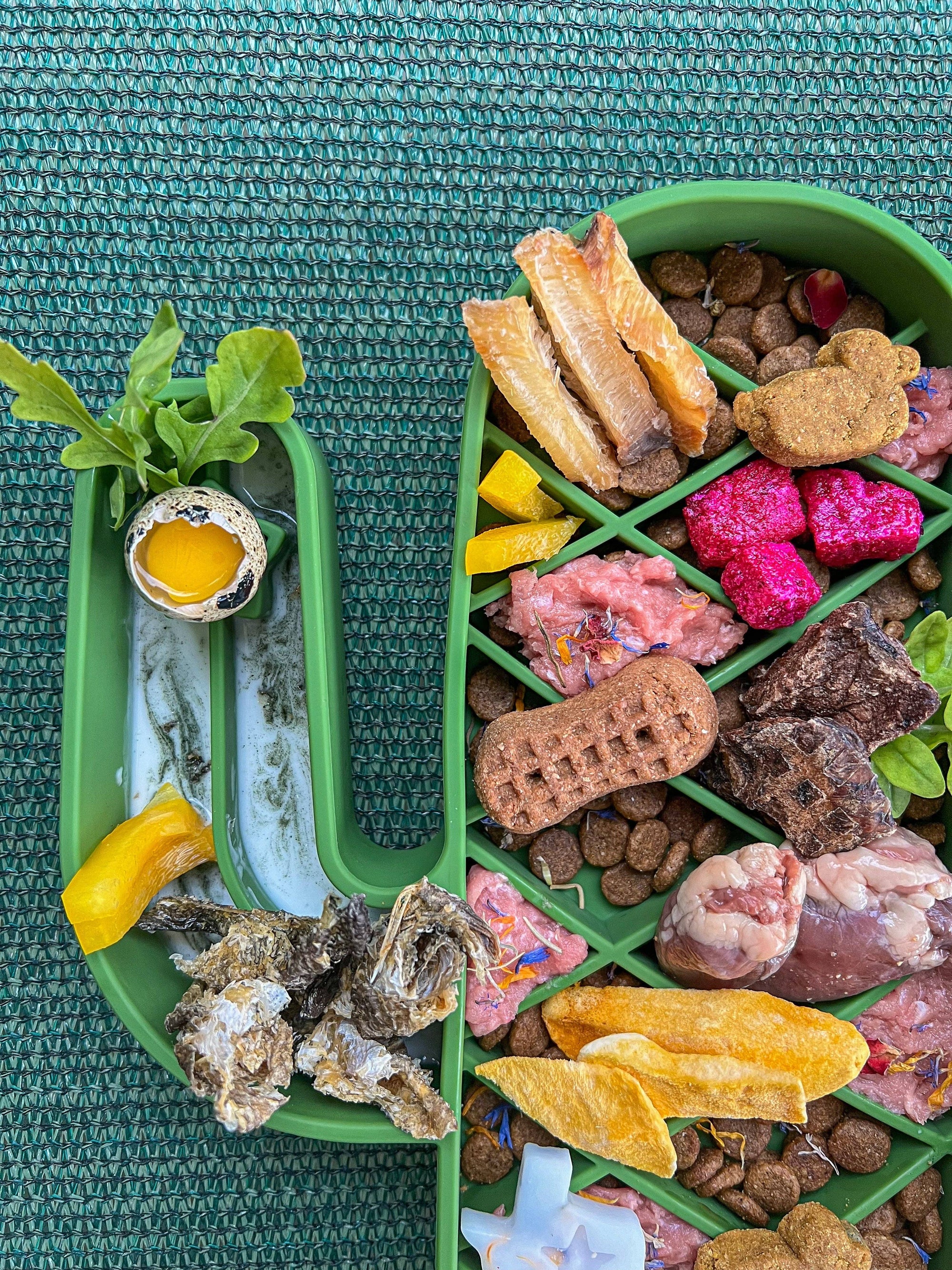 Lonestar Dog Treats - Saguaro Slow Feeder: Verde