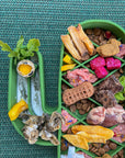 Lonestar Dog Treats - Saguaro Slow Feeder: Prickly Pear