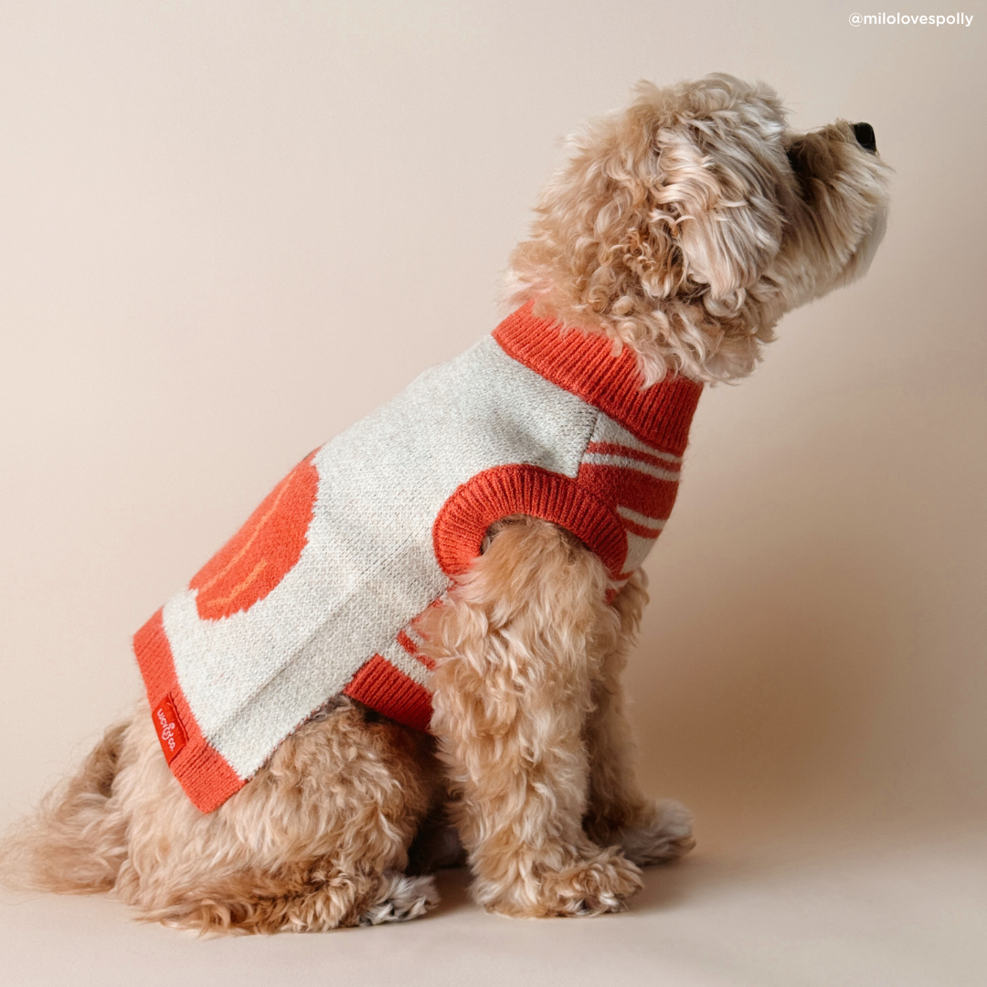 Lucy &amp; Co. - Oh My Gourd Sweater