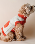 Lucy & Co. - Oh My Gourd Sweater