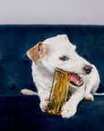 Wag & Bright Supply Co. - Mighty Marrows Collagen Dental Chew - Beef Liver - 3 Sizes: Large