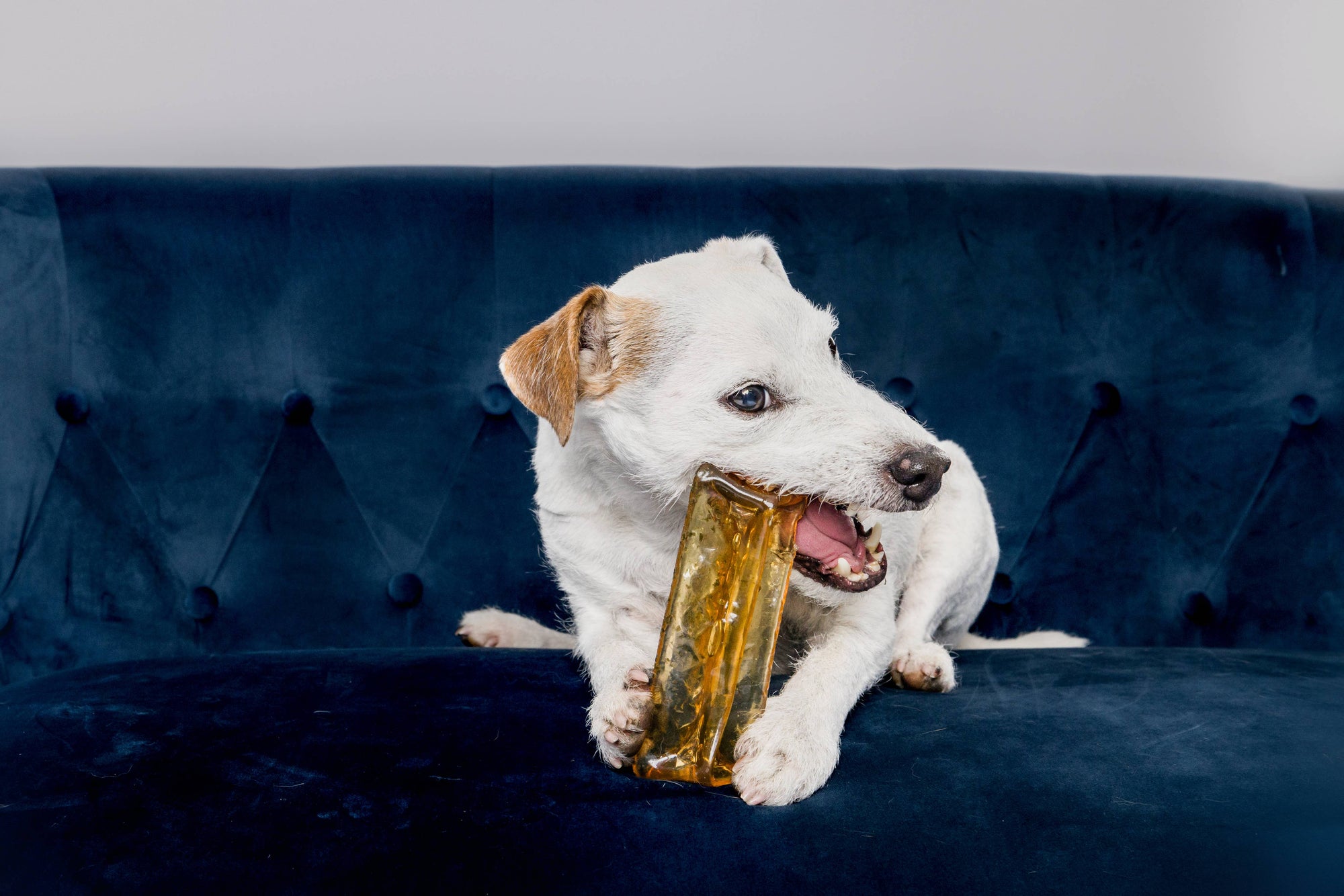 Wag &amp; Bright Supply Co. - Mighty Marrows Collagen Dental Chew- Spirulina Beef- 3 Sizes: Large