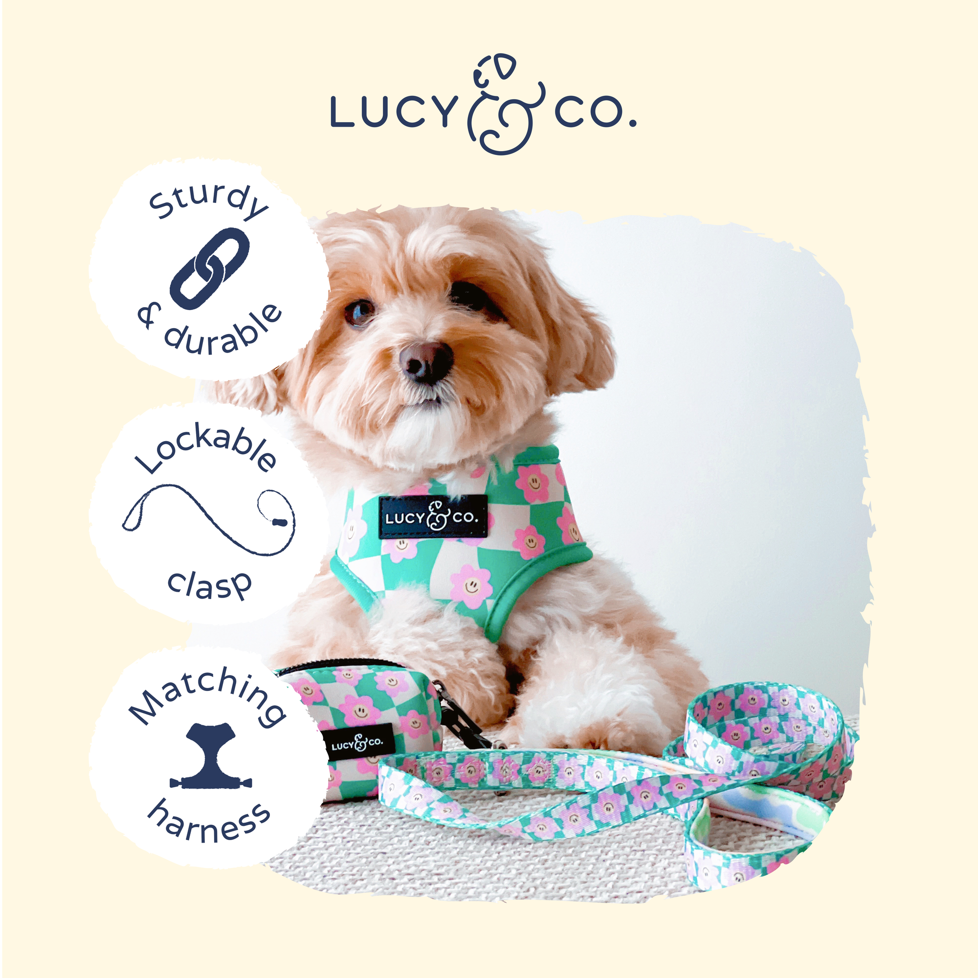 Lucy &amp; Co. - Just Chill Leash: L