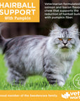 Hairball Support w/ Pumpkin Soft Chews Feline 60 ct