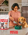 Happy Day Pets - Happy Day Pets Lamb Chips Dog Treats | 100% Lamb | 4 oz