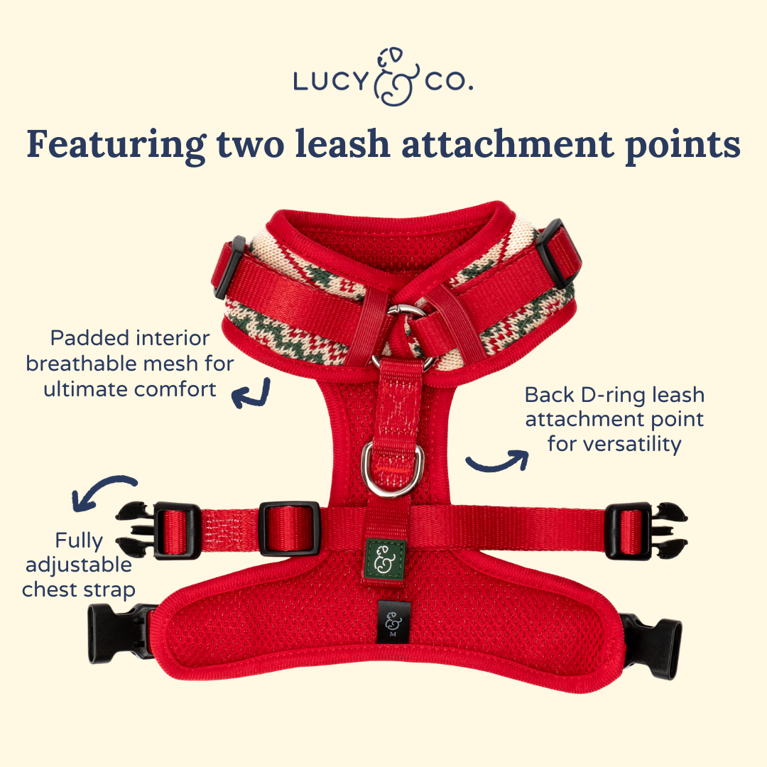 Lucy &amp; Co. - Let it Snow No-Pull Harness