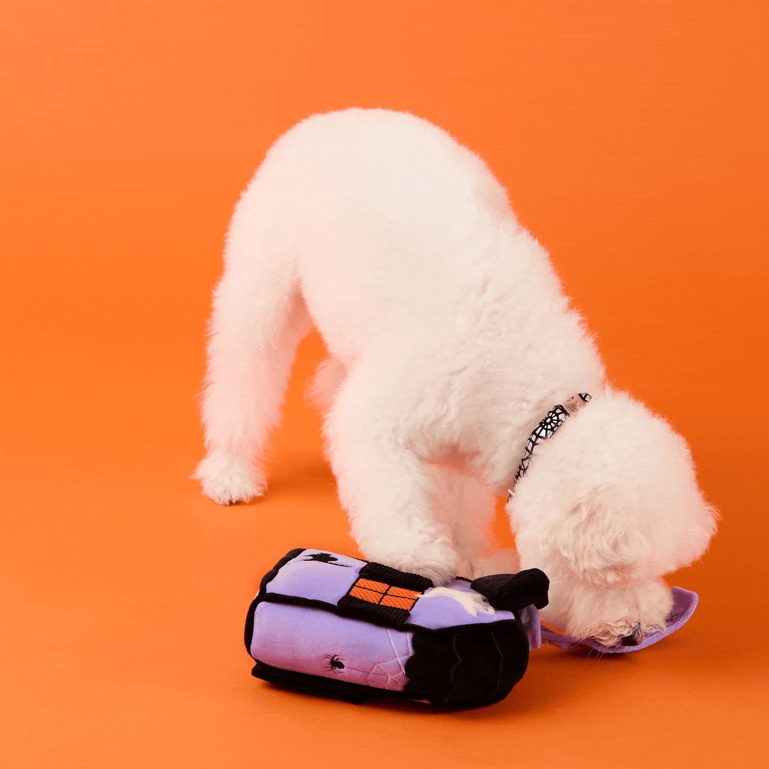 The Foggy Dog - Haunted House Interactive Snuffle Dog Toy