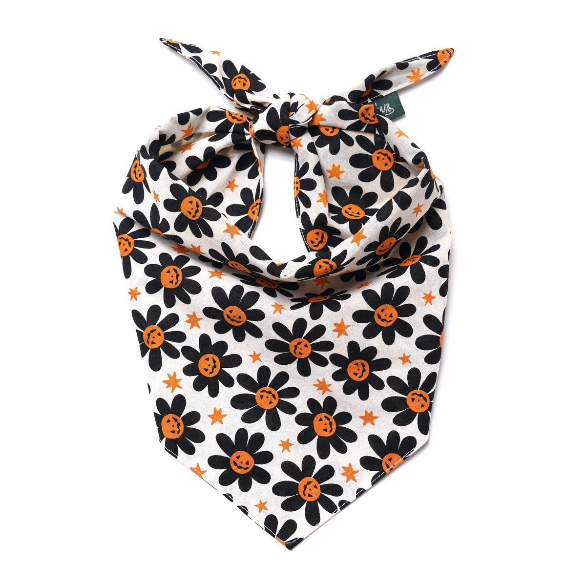 The Paws - Pumpkin Petals Halloween Dog Bandana