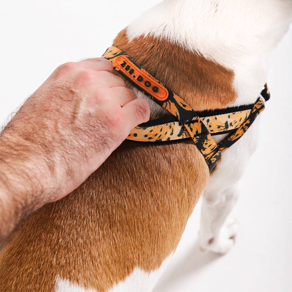Zee.Dog - Bossa Banana | SofterWalk Harness: Large