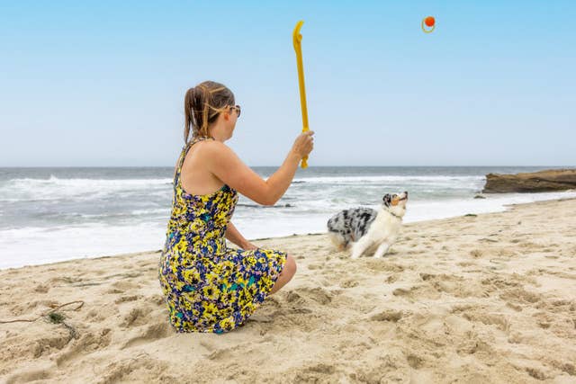 Project Hive Hive Zoomer Dog Toy Launcher &amp; Looped Ball Combo Pack