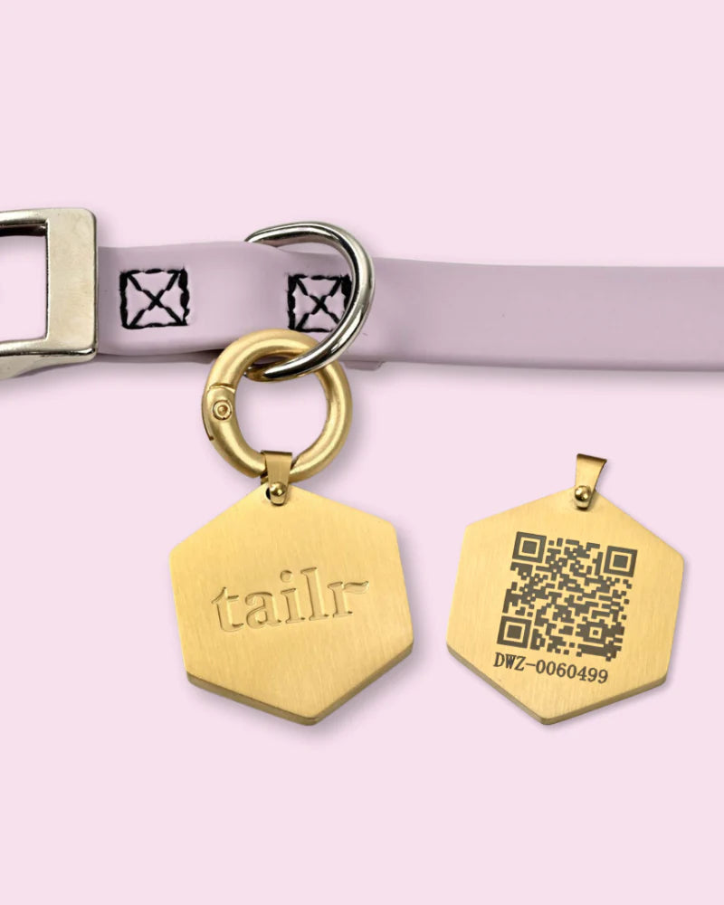 Tailr QR Code Pet Tags