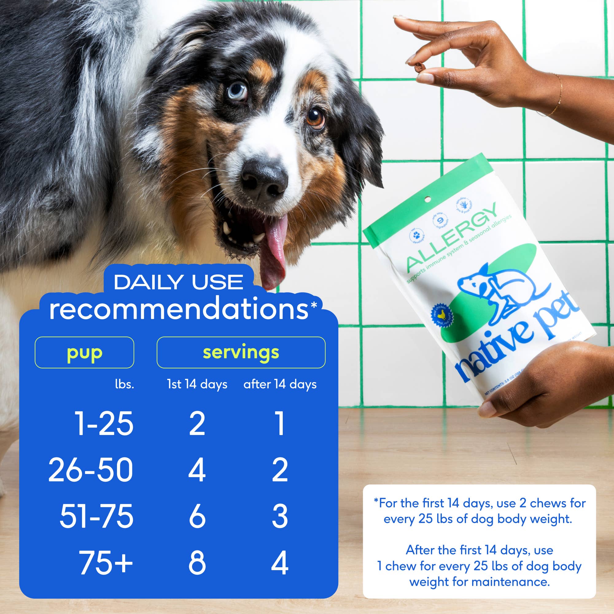 Native Pet - Allergy &amp; Immune Chews, an Allergy &amp; Itch Relief Supplement : 90 chews
