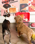 the furryfolks - Bone Appétit Nosework Toy