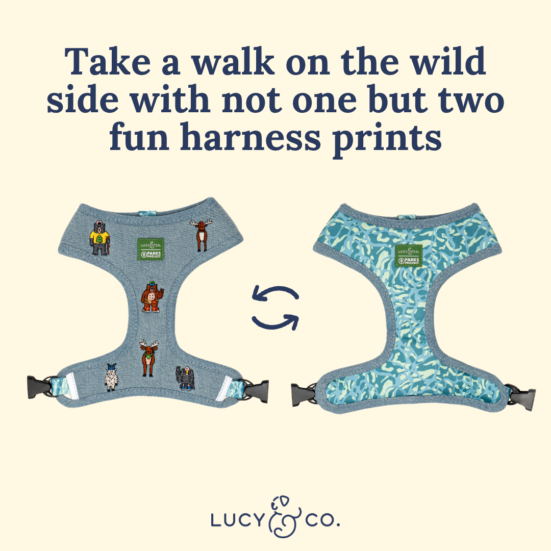 Lucy &amp; Co. - Lucy &amp; Co. x Parks Project Adventures with Friends Reversible Harness