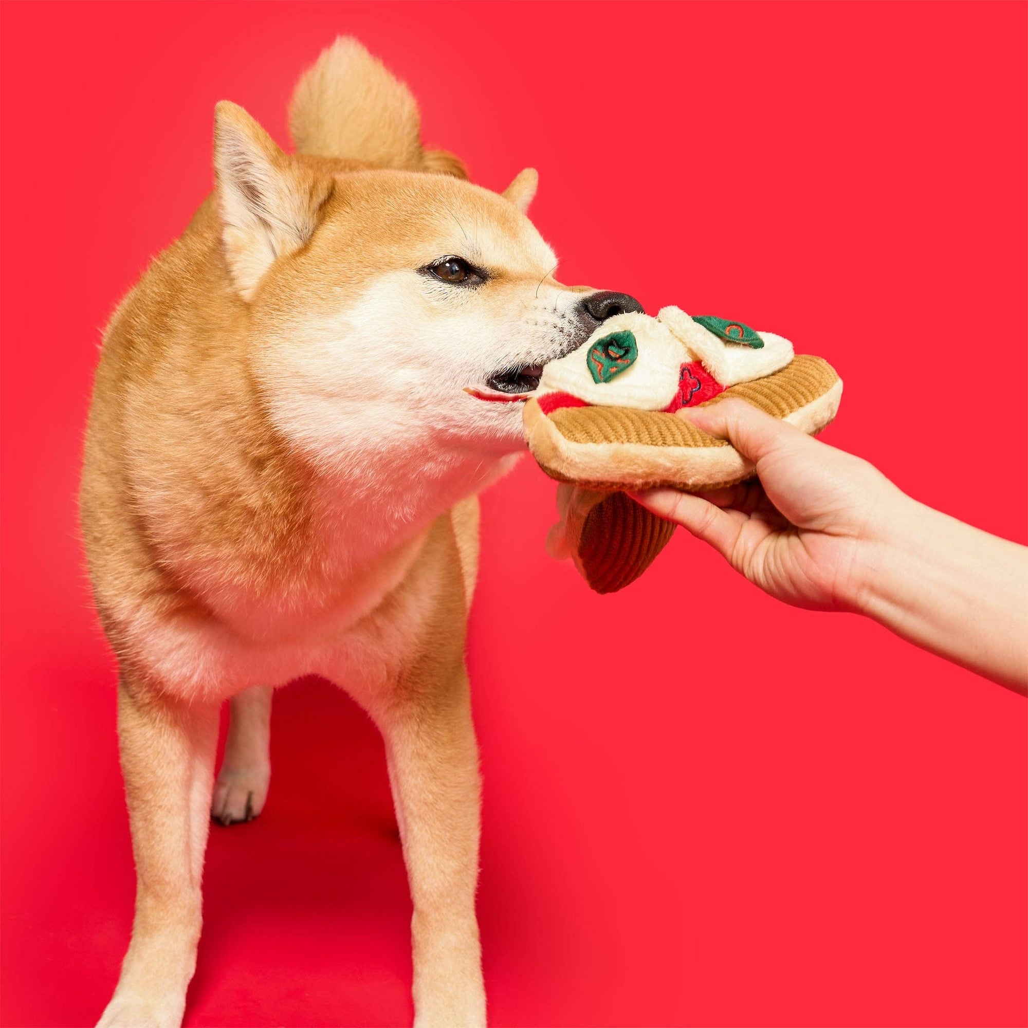 the furryfolks - Pizza Nosework Toy