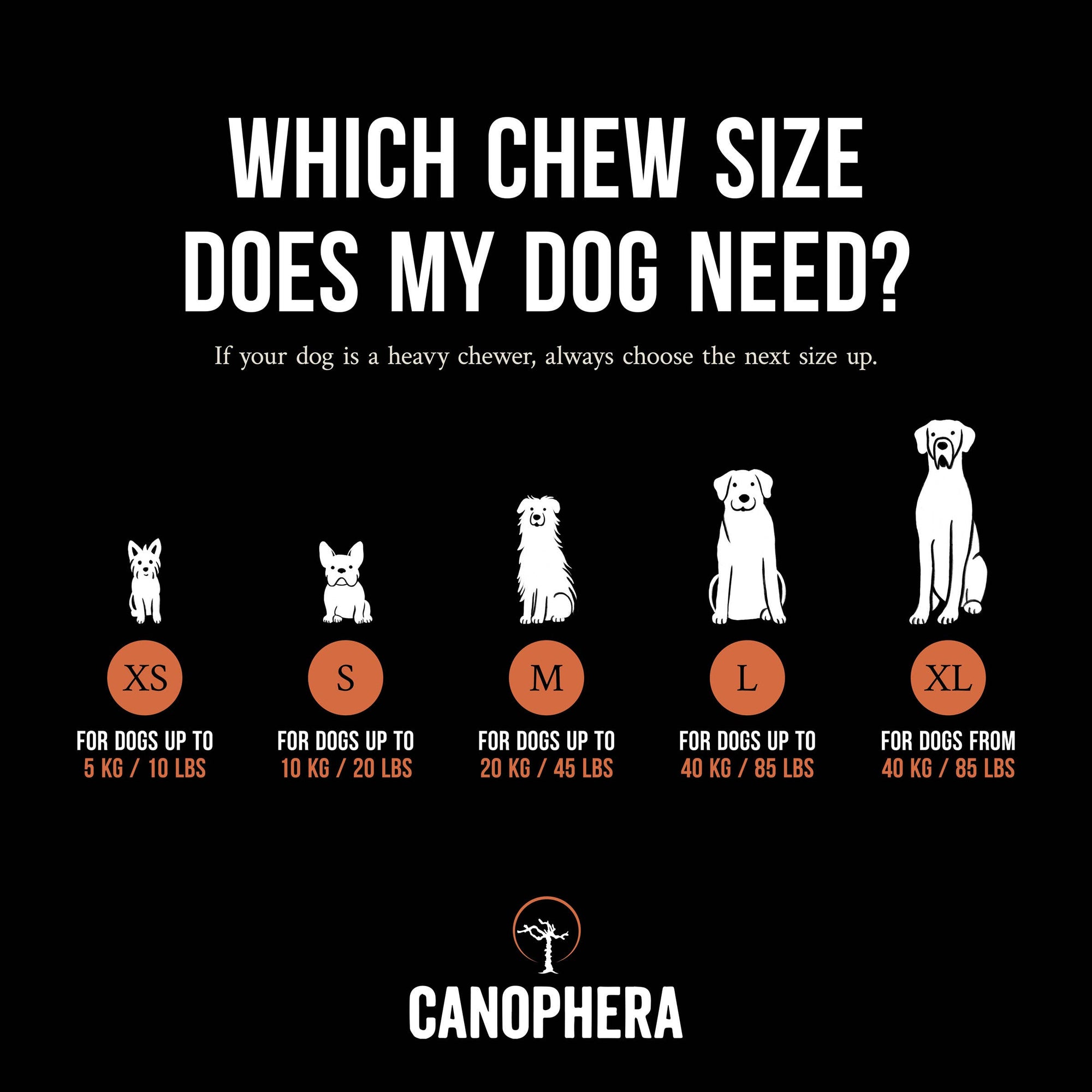 CANOPHERA LLC - Dog Chew Made of Briar Root.: L