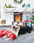 Pet Palette Distribution - BARK Grandy Cane Christmas Plush Dog Toy