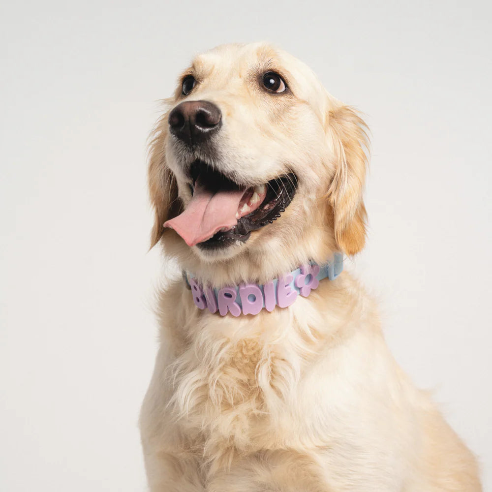 Springlan Collar Springland Silicone Dog Charms | Letters & Symbols for Personalized Do ...