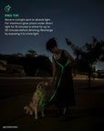SUNNY TAILS - Lunar Glow Waterproof Dog Collar: SMALL