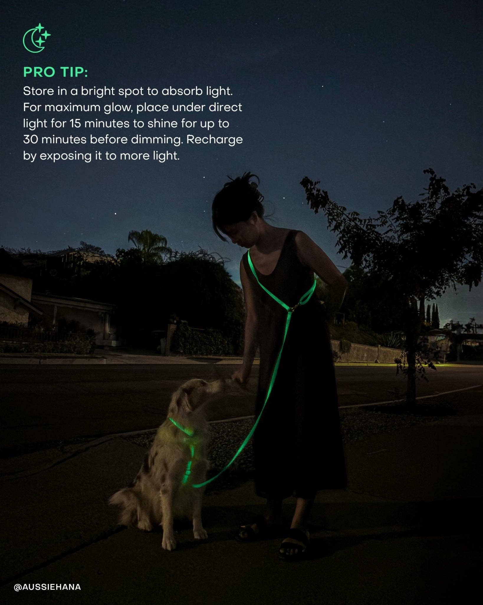 SUNNY TAILS - Lunar Glow Waterproof Dog Collar: LARGE