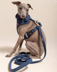 Lucy & Co. - Appley Ever After Corduroy Leash