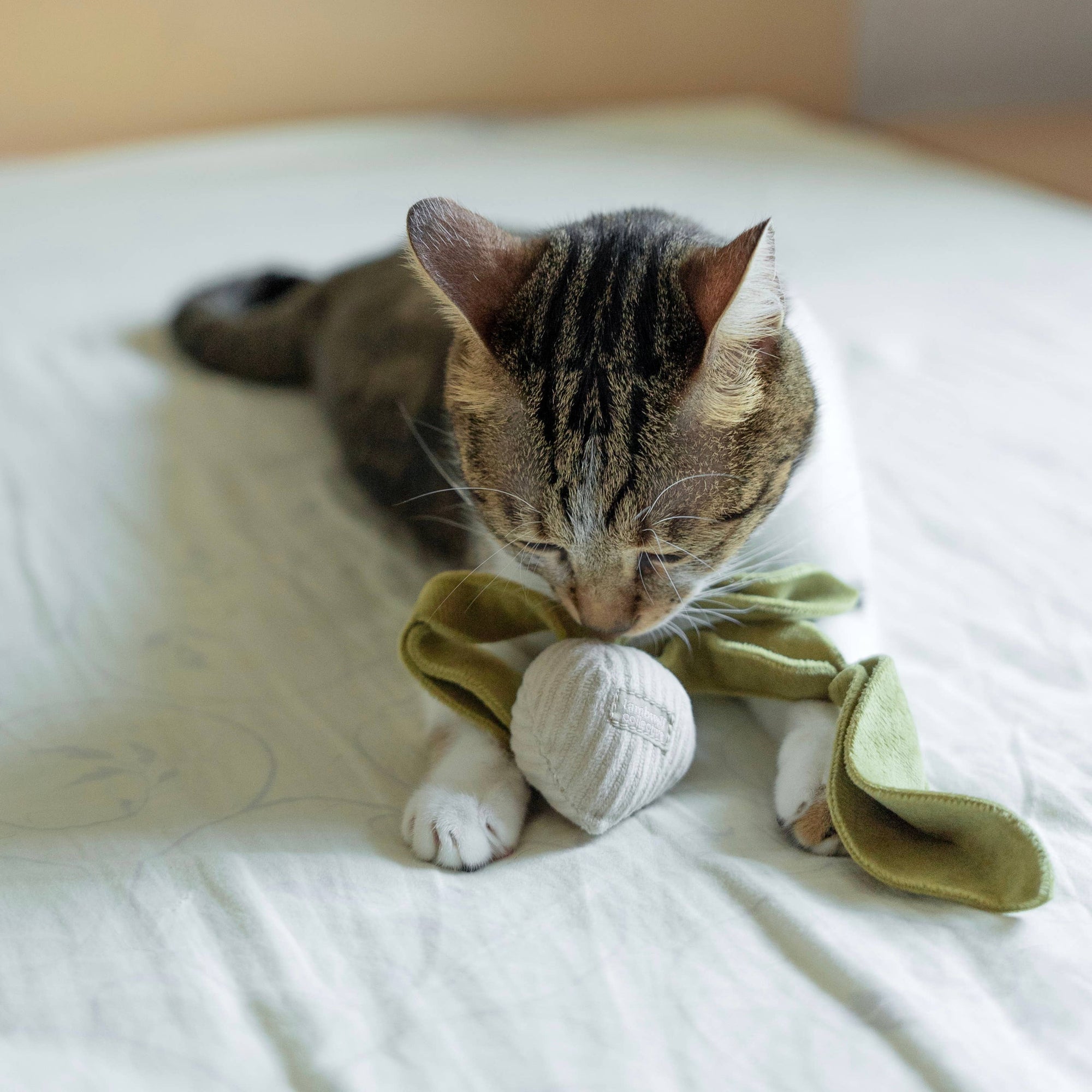 Lambwolf Collective - RADISH//CAT TOY: S/ CREAM